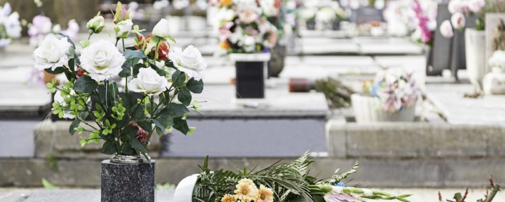 bouquet de fleurs roses blanches